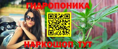 крисы Гатчина