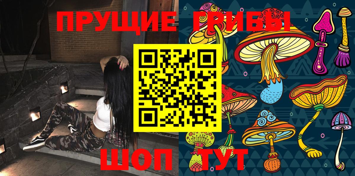 где найти   Вход с VPN  Выборг  Галлюциногенные грибы MAGIC MUSHROOMS 