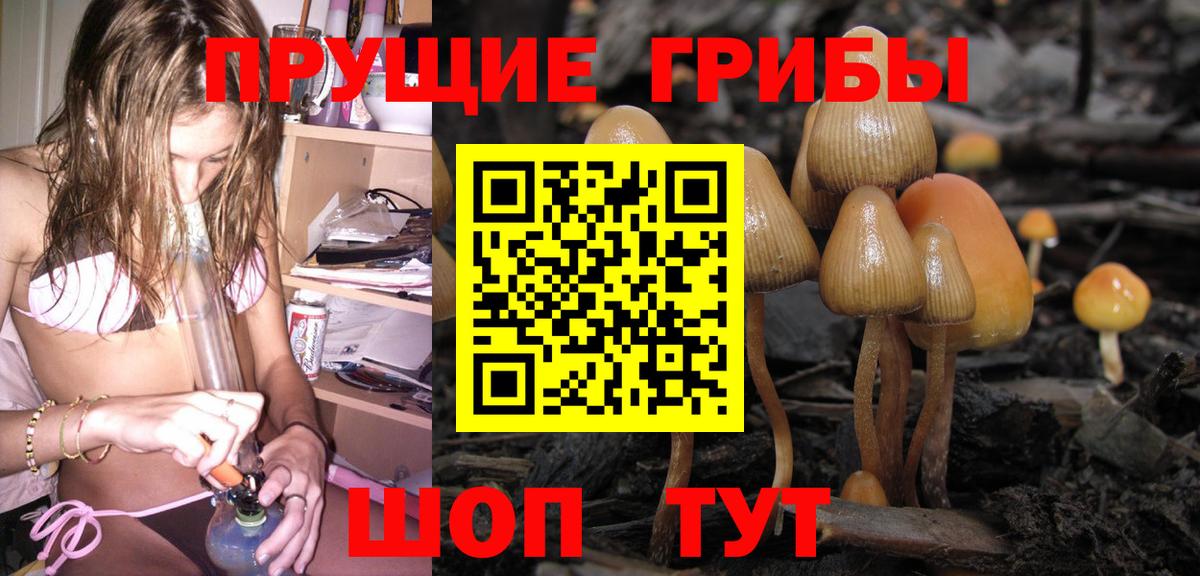 Галлюциногенные грибы Cubensis Выборг